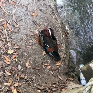 Meet your Posher, Jorge